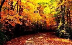 Autumn 2