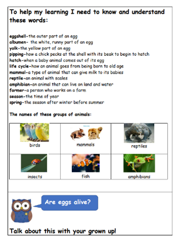 Spring 2 (2)