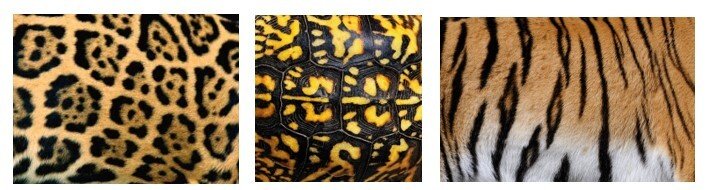 Patterns