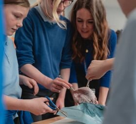 Heart dissection 9