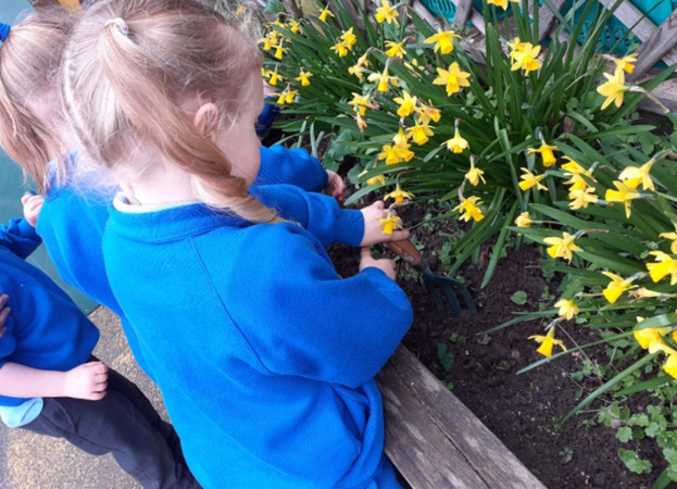 Flowers 2