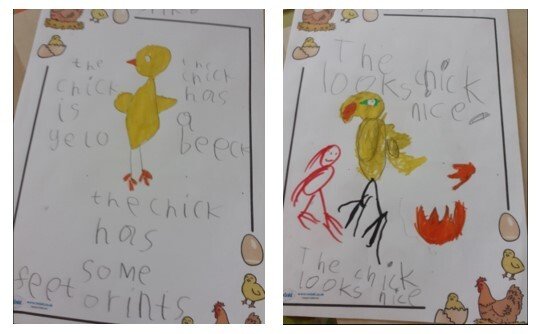 Chicks 2