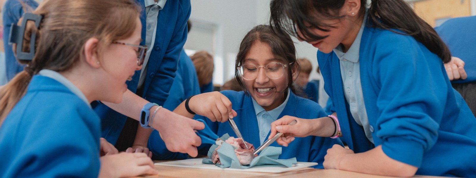 Heart dissection 3